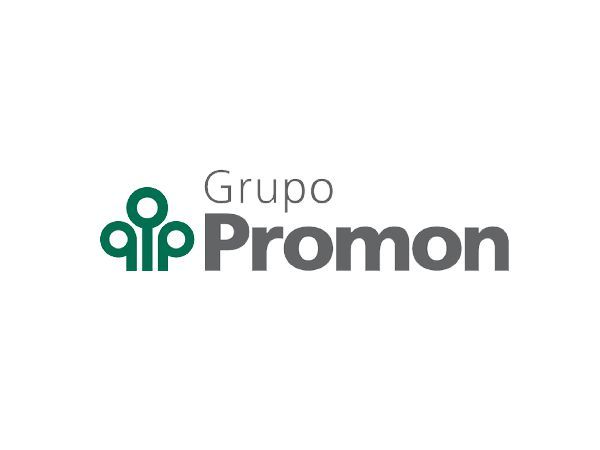 Grupo Promon