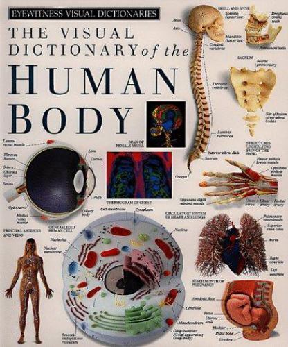 Eyewitness Visual Dictionaries: The Visual Dictionary of the Human B – VERY GOOD