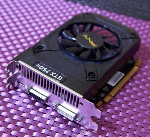 PNY GTX 750 Ti Performance 2GB GDDR5 PCIe 3.0×16 mini HDMI DVI-D DVI-I Vid Card