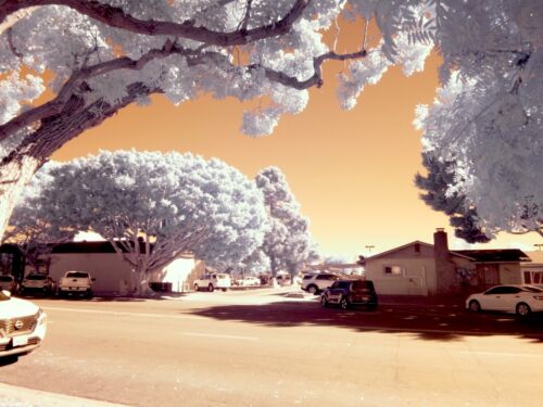 Nikon D70s infrared converted Camera Full Spectrum