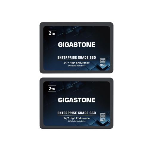 Gigastone Enterprise SSD 2TB NAS SSD Drive Cache (2-Pack) 24/7 Durable TLC Hi…