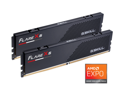 For AMD – G.Skill Flare X5 32GB (2x 16GB) DDR5-6000 (PC5-48000) CL32 Desktop Ram