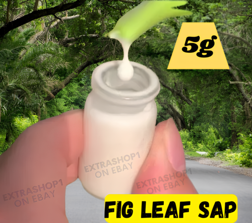 Fig Leaf Sap Natural Sève de Feuille de Figuier Fresh Organic 5G حليب التين