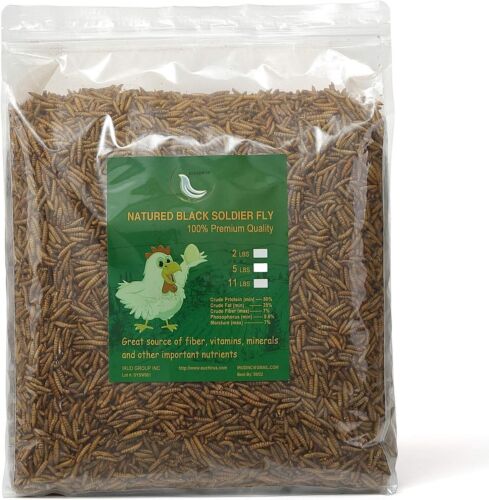 Black Soldier Fly Larvae for Chickens, 100% Natural Premium Quality Non-GMO