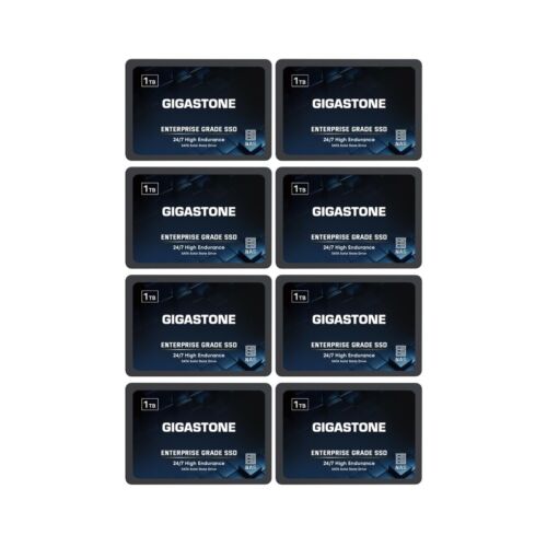 Gigastone Enterprise SSD 1TB NAS SSD Drive Cache (8-Pack) 24/7 Durable TLC Hi…