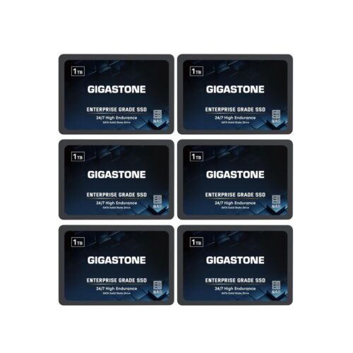 Gigastone Enterprise SSD 1TB NAS SSD Drive Cache (6-Pack) 24/7 Durable TLC Hi…