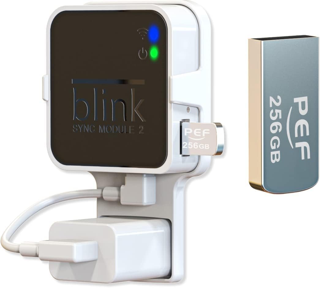 256GB Blink USB Flash Drive for Local Video Storage and The Outlet Mount for Blink Sync Module 2(Blink Add-On Sync Module 2 Itself is NOT Included)