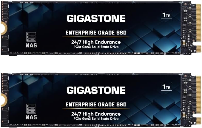 Gigastone Enterprise SSD 1TB (2-Pack) NVMe NAS SSD 24/7 High Endurance Cache for Network Attached Storage Business Server Data Center Personal Cloud PCIe 3.0 M.2 SSD Internal Solid State Drive