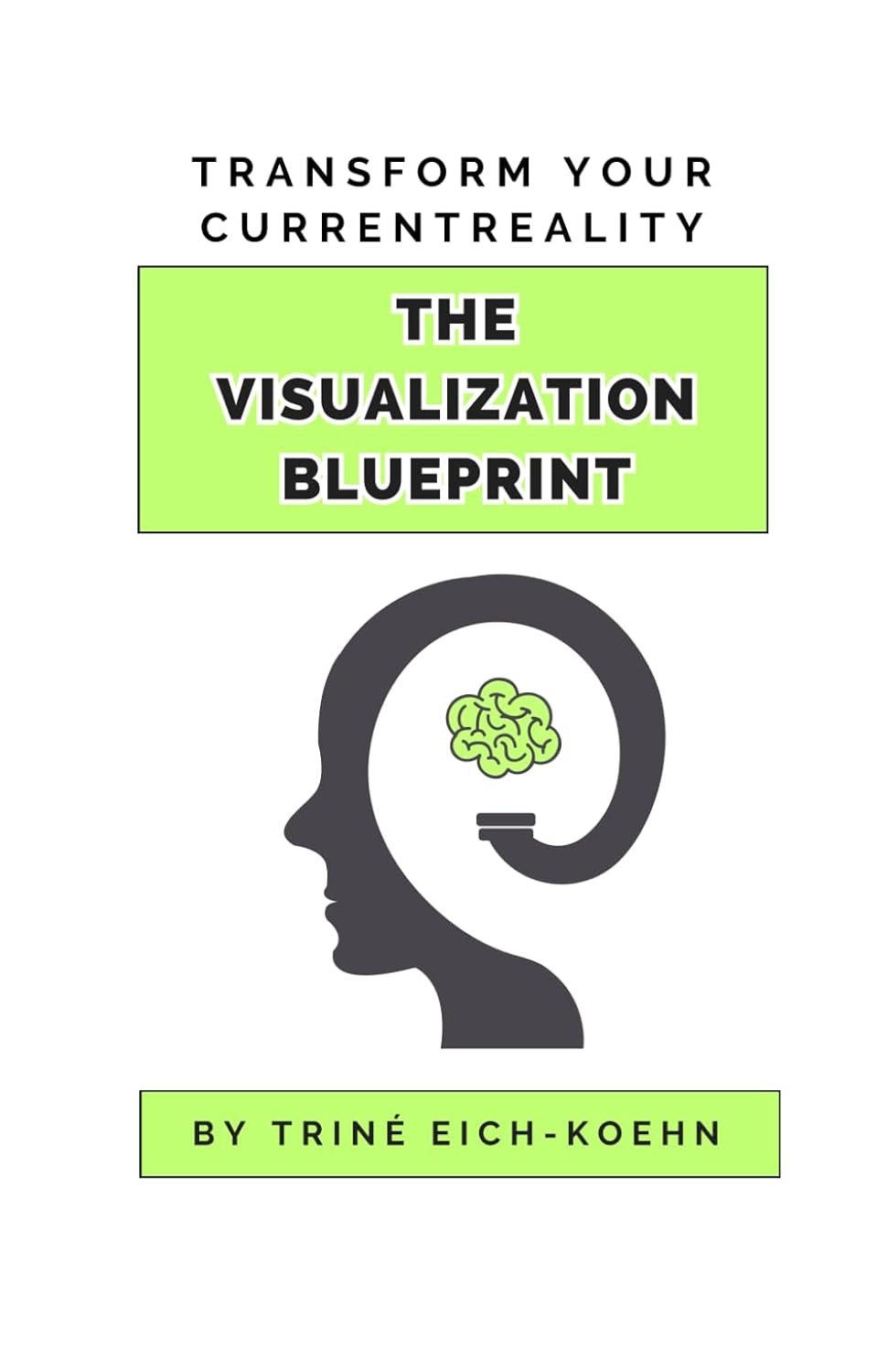 The Visualization Blueprint: Harness the power of visualization & transform your current reality: Proven techniques in recreating daily thought patterns & improving your relationship with yourself