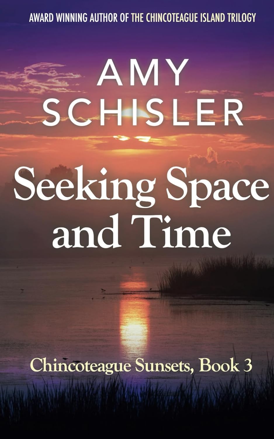 Seeking Space and Time (Chincoteague Sunsets Trilogy)