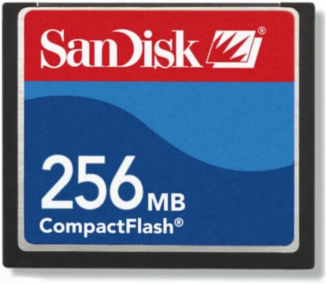 256MB Sandisk 24x CompactFlash Card Standard Grade