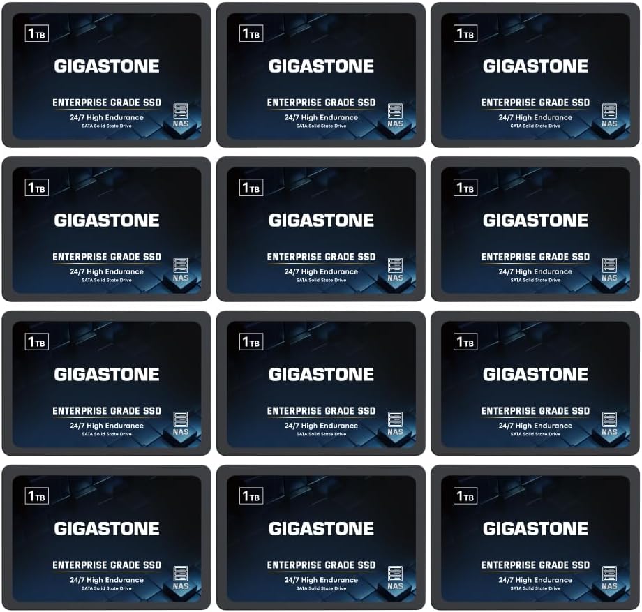 Gigastone Enterprise SSD 1TB NAS SSD Drive Cache (12-Pack) 24/7 Durable TLC High Endurance Business Server Data Center RAID Network Attached Storage 2.5″ SATA Internal Solid State Hard Drives