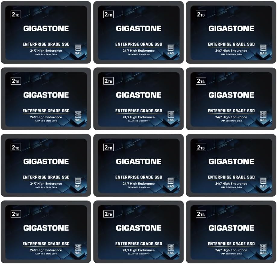 Gigastone Enterprise SSD 2TB NAS SSD Drive Cache (12-Pack) 24/7 Durable TLC High Endurance Business Server Data Center RAID Network Attached Storage 2.5″ SATA Internal Solid State Hard Drives