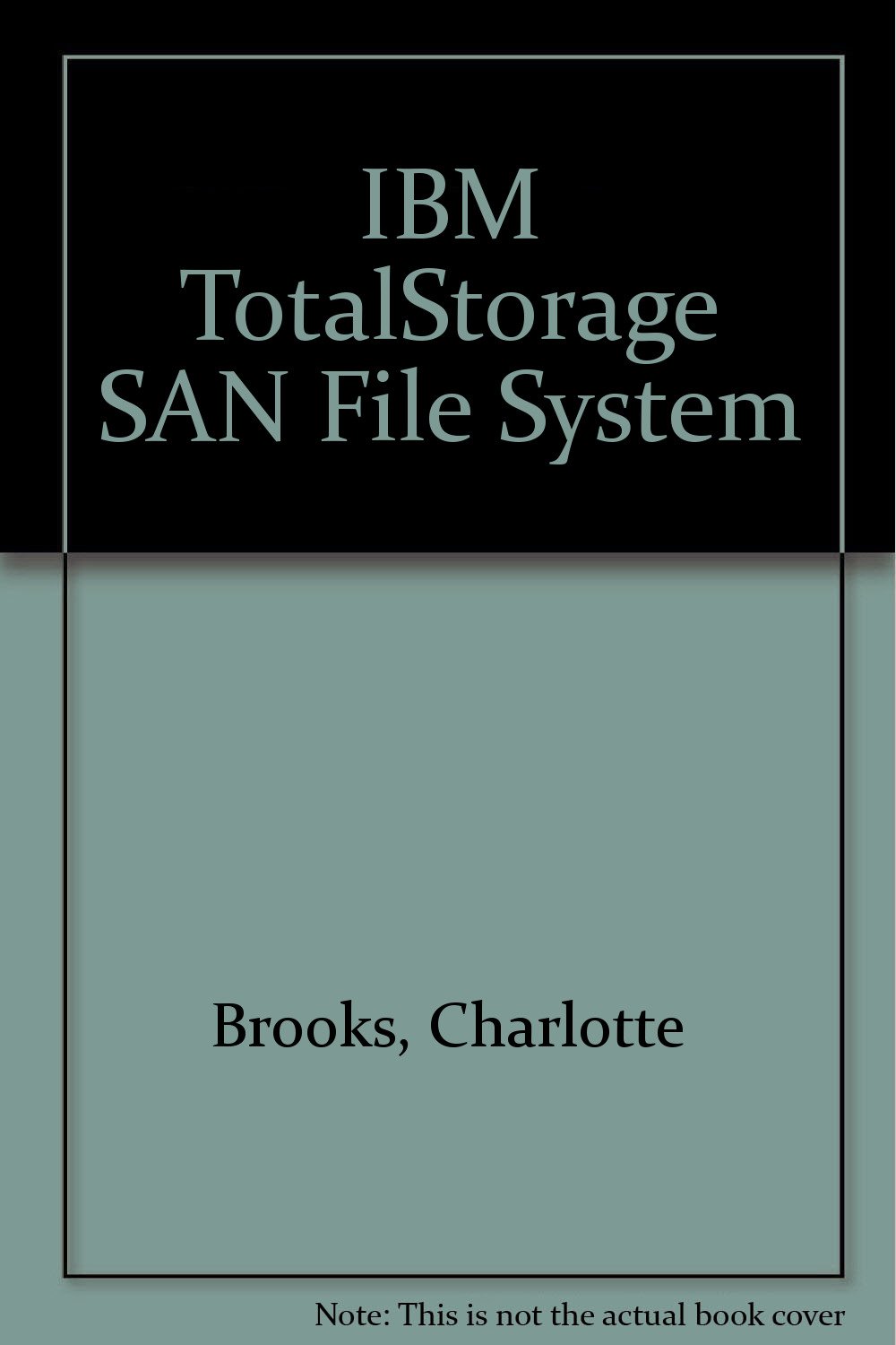 IBM TotalStorage SAN File System