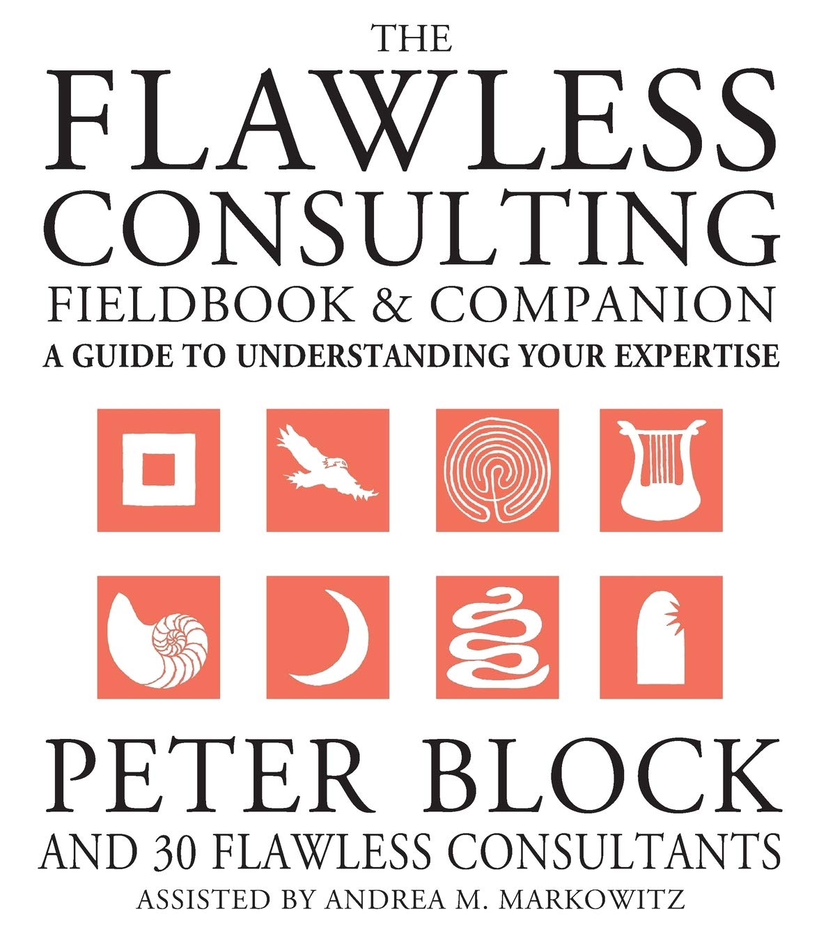 The Flawless Consulting Fieldbook and Companion : A Guide Understanding Your Expertise