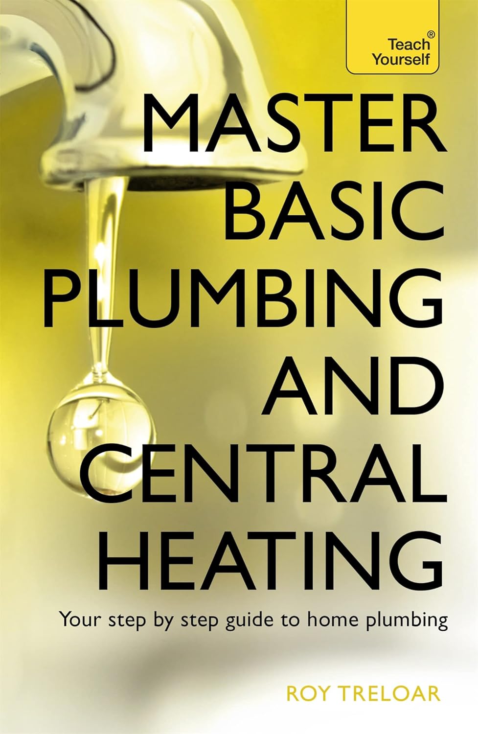 Master Basic Plumbing And Central Heating (Teach Yourself)