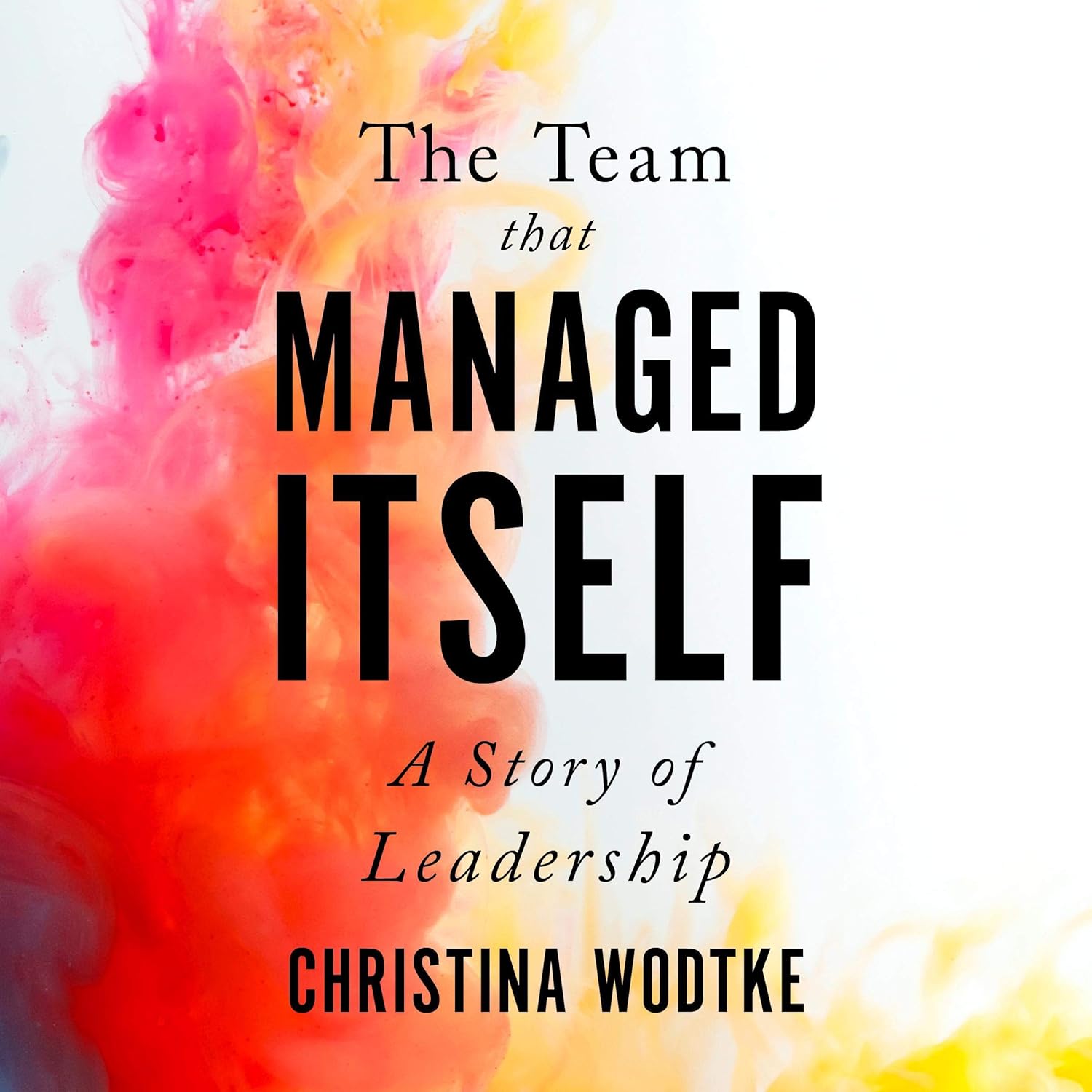 The Team That Managed Itself: A Story of Leadership