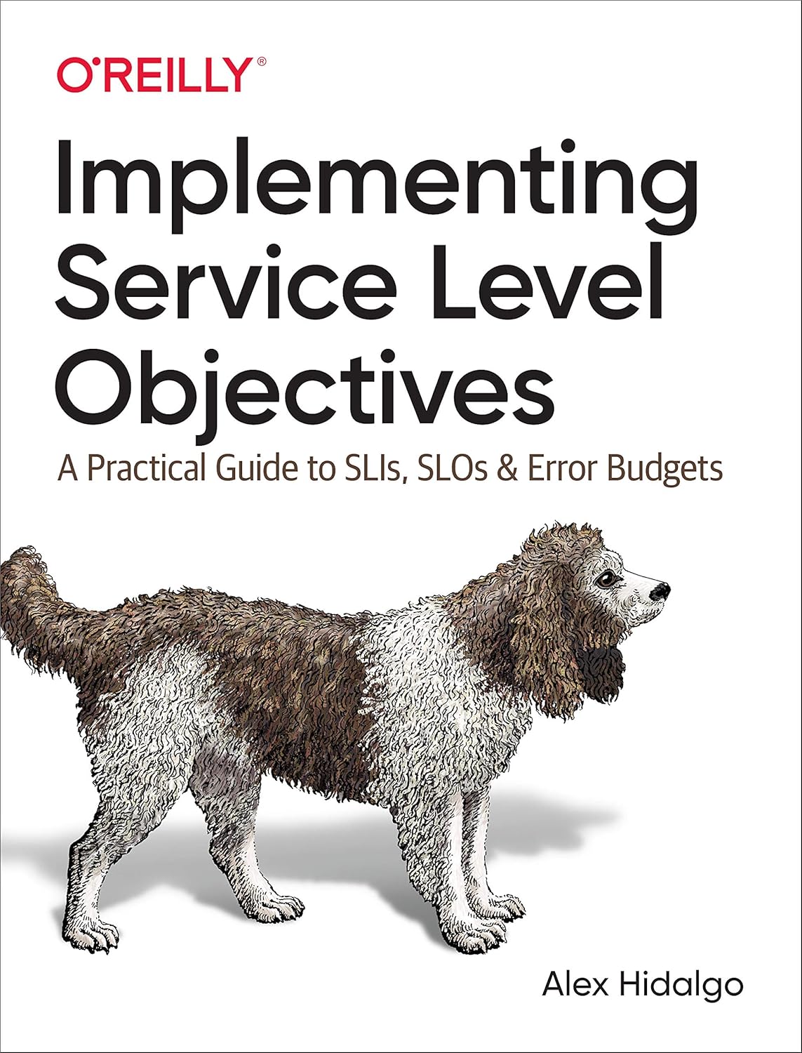 Implementing Service Level Objectives: A Practical Guide to SLIs, SLOs, and Error Budgets