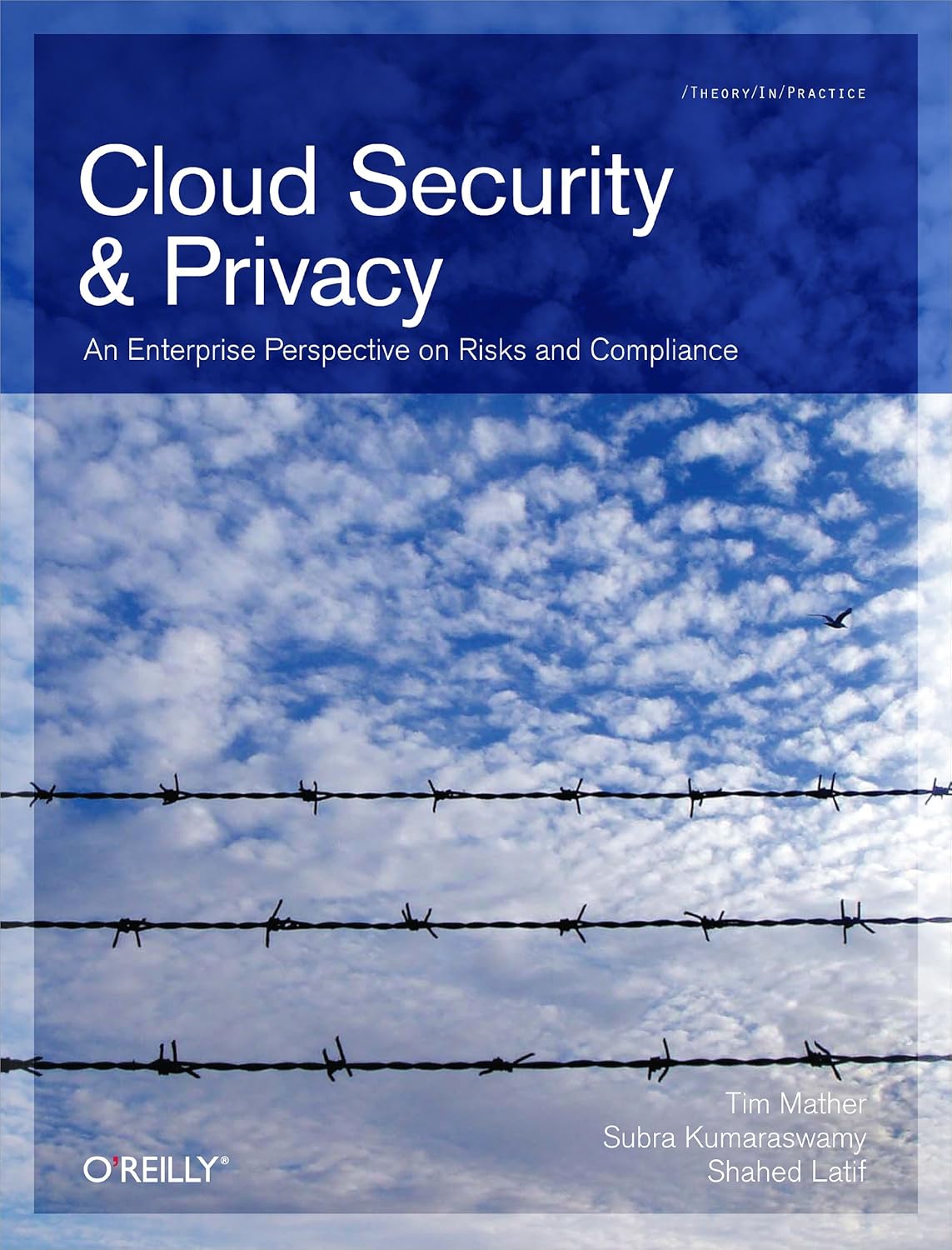 Cloud Security and Privacy: An Enterprise Perspective on Risks and Compliance