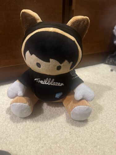 Salesforce Trailblazer Plush Astro Nomical Raccoon Plushie Hoodie Soft Toy 8”