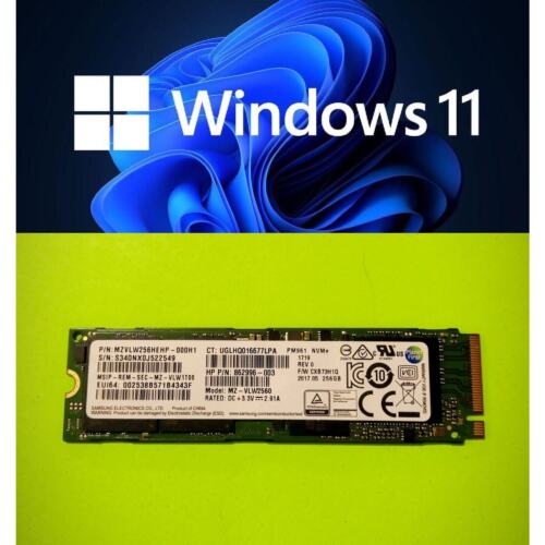 256GB PCIe M.2 2280 SSD Solid State Drive with Windows 11 Pro UEFI [ACTIVATED]