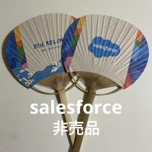 Salesforce Bamboo Fan Tokyo Rainbow Pride Novelty 2-Pack