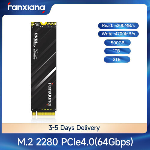 Fanxiang NVMe SSD M.2 1TB 2TB PCIe Gen 4 x 4 Internal Solid State Drive 5200MB/s