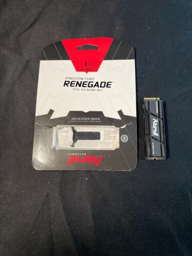 Kingston FURY Renegade Black 1TB PCle 4.0 NVMe M.2 Solid State Drive