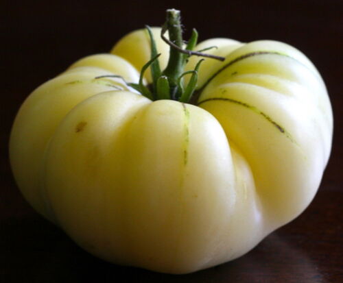 White Wonder Beefsteak Tomato Seeds, NON-GMO, Variety Sizes Sold, FREE SHIP