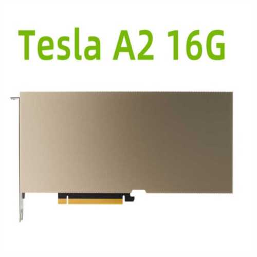 NVIDIA A2 Tensor Core GPU 16GB PCIe Graphics Accelerator CUDA Ampere Tesla Card