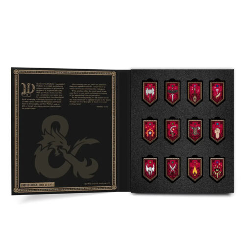 D&D Limited Edition Class 12Pc Augmented Reality Pinfinity Pin Set NIB Dungeons