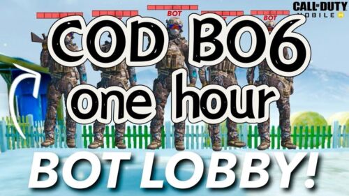 BO6 Bot Lobby 1 Hour / Call Of Duty BO6/Mystery Camo / COD Black Ops…