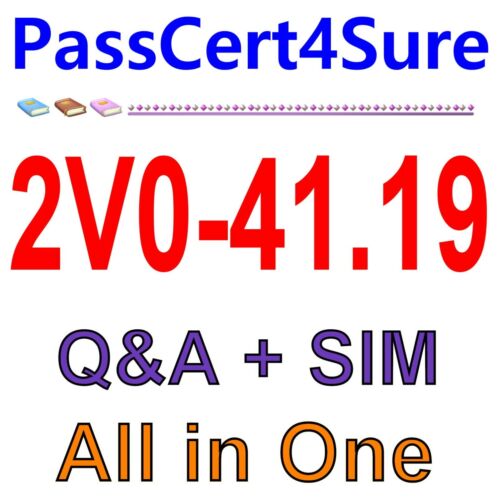 VMware Professional NSX-T Data Center 2.4 2V0-41.19 Exam Q&A+SIM