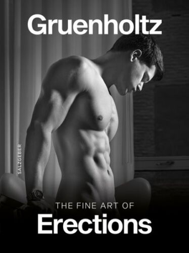 Fine Art of Erections, Hardcover by Gruenholtz (PHT), Brand New, Free shippin…