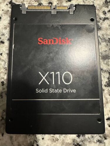 SanDisk X110 SSD 256GB Internal Solid State Drive 2.5” inch