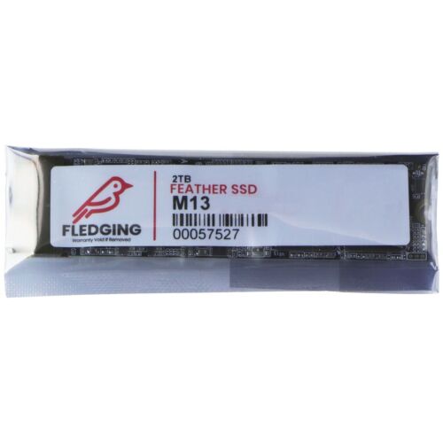 Fledging 2TB Feather M13 PCIe NVMe Gen 3.0×4 SSD Upgrade for MacBook