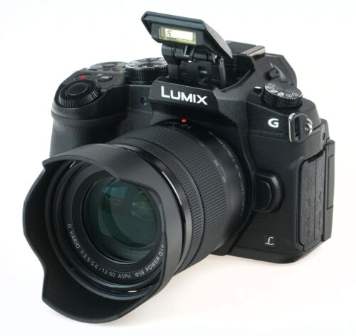 Panasonic Lumix DMC-G85 Mirrorless Digital Camera with G Vario 12-60mm Lens