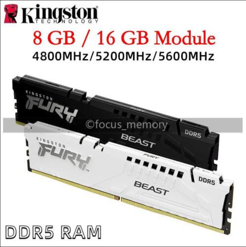 FURY Beast 8GB/16GB32GB DDR5 4800 5200 5600 MHz Desktop Memory 288pin 8 GB 16 GB