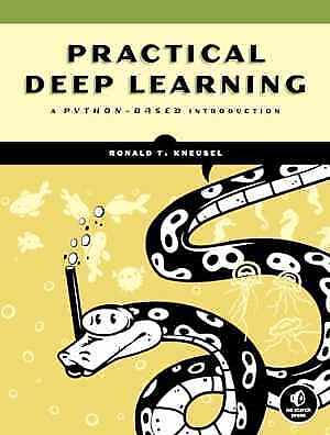 Practical Deep Learning: A Python-Based – Paperback, by Kneusel Ronald T. – Good