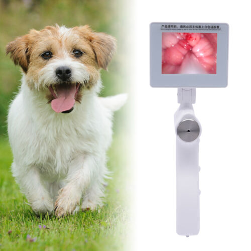 Visual Artificial Insemination AI Gun Breeding Device Dog Endoscope Breeding Kit