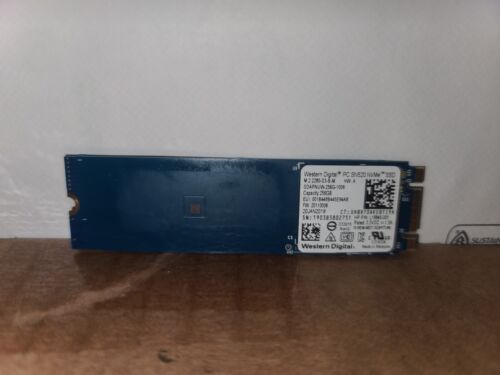 Western Digital SN520 256GB M.2 2280 NVMe SSD Drive SDAPNUW-256G-1006