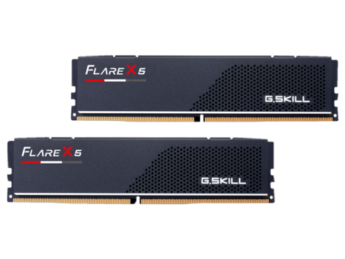 G. SKILL Flare X5 32GB (2x16GB) DDR5 RAM 6000MHz (F5-6000J3636F16GX2-FX5)