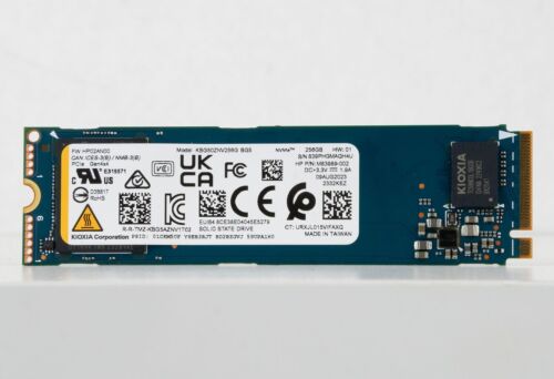 KIOXIA BG5 256GB M.2 NVMe Internal SSD (KBG50ZNV256G)