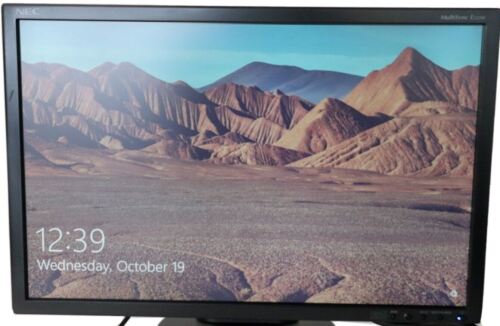 NEC MultiSync E222W Eco-Friendly LCD Widescreen 22″ Computer Monitor