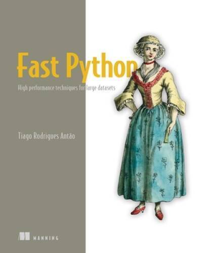 Fast Python: High performance techniques for large datasets – VERY GOOD