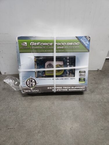 1 – BFG NVIDIA GeForce 7900 GS 256 MB GDDR3 PCI (BFGR79256GSOCE)