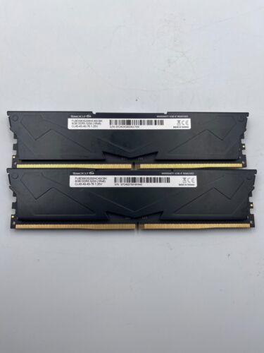 TEAMGROUP T-Force Vulcan 16GB (2x8GB) DDR5-5200 CL40 (FLBD58G5200HC40CBK)