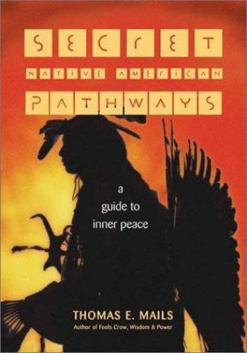 Sundancing : The Great Sioux Piercing Ceremony by Thomas E. Mails (1997,…