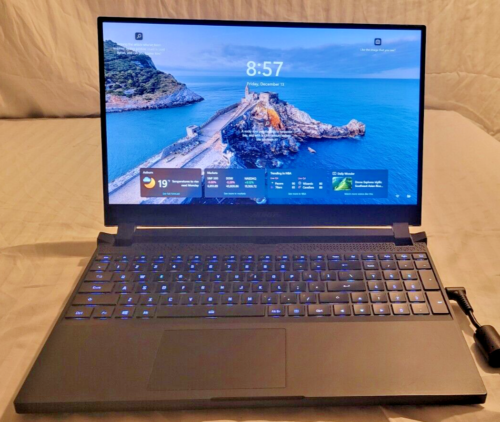 Aorus 15P YD, RTX 3080 LAPTOP, i7 11800H, 32GB DDR4, 2TB FireCuda M.2, 300hz