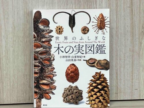 Exotic Fruits & Nuts from Around the World Visual Guide Book Encyclopedia Japan